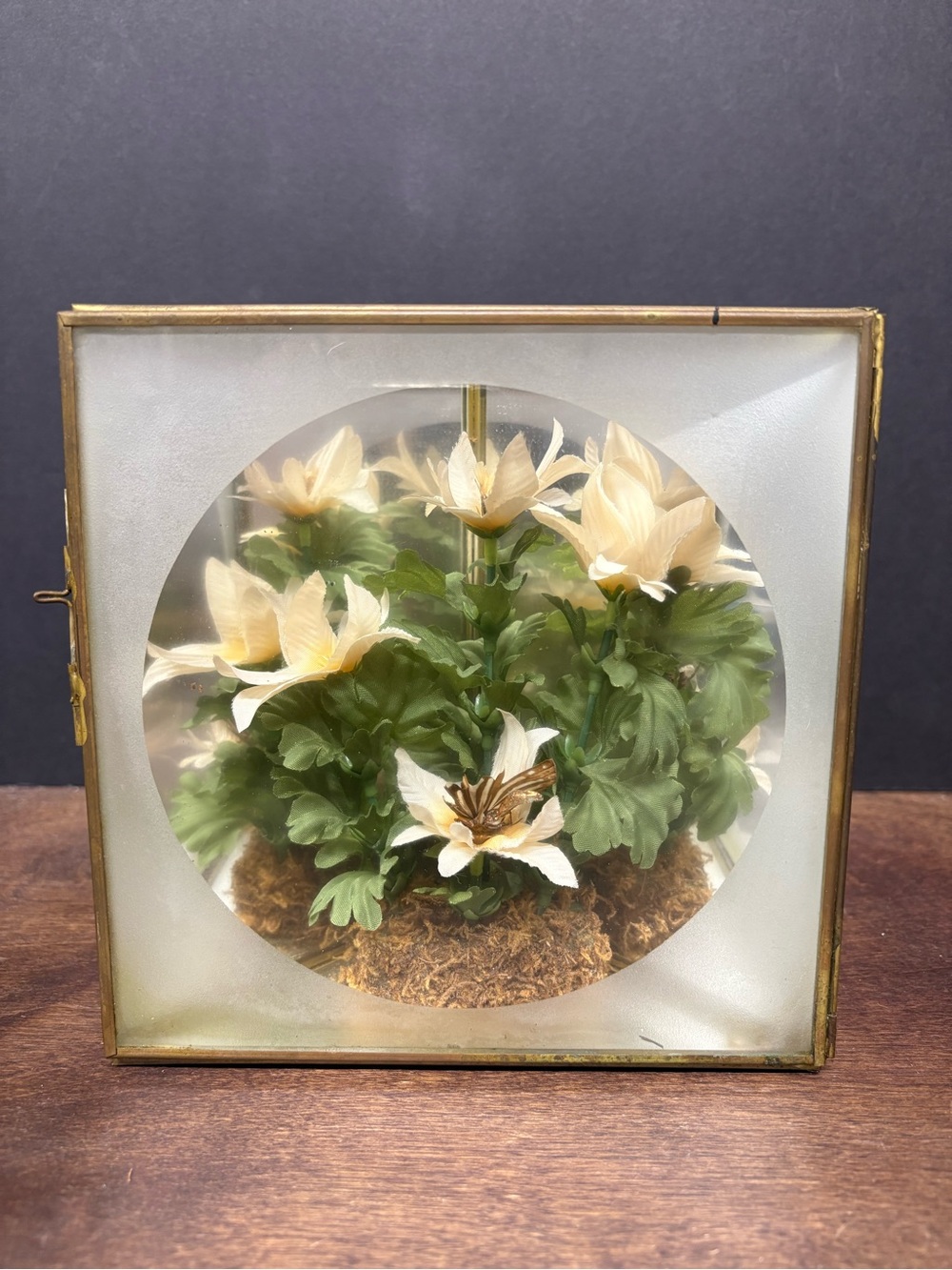 Vintage Framed Cream Artificial Flower Terrarium - Home Accents